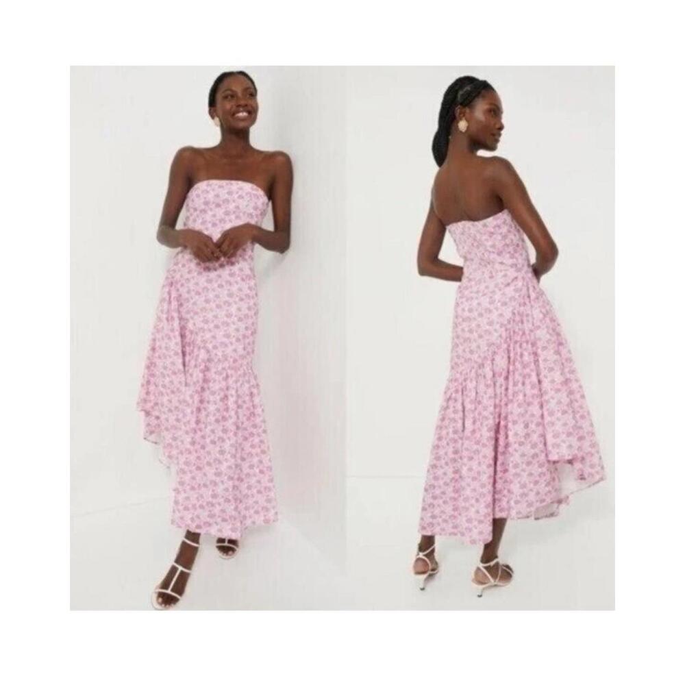 Tuckernuck Pink Strapless Dress